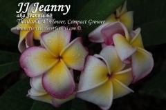 Jenny_4688.jpg Jenny_4688.jpg